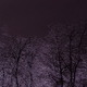 Ice Storm