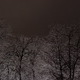 Ice Storm