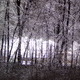 Ice Storm