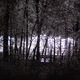 Ice Storm