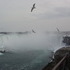 Niagara Falls