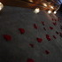 Rose Petals
