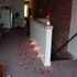 Rose Petals