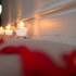 Rose Petals