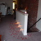 Rose Petals