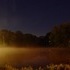 Ducks and Fog on K-Milk Pond