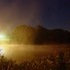 Ducks and Fog on K-Milk Pond