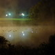 Ducks and Fog on K-Milk Pond