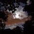 Clouds and Skies and Shiloh