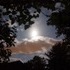 Clouds and Skies and Shiloh