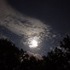 Clouds and Skies and Shiloh