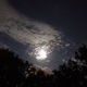 Clouds and Skies and Shiloh