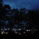 Treeline at Dusk