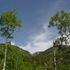Colorado Trip, Day 2: Fish Creek Falls
