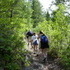 Colorado Trip, Day 2: Fish Creek Falls