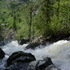 Colorado Trip, Day 2: Fish Creek Falls
