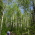 Colorado Trip, Day 2: Fish Creek Falls