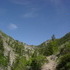 Colorado Trip, Day 2: Fish Creek Falls