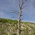 Colorado Trip, Day 2: Fish Creek Falls
