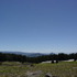 Colorado Trip, Day 4: Rabbit Ears Pass
