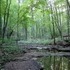 Hells Hollow and Hell Falls at McConnells Mill