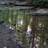 Hells Hollow and Hell Falls at McConnells Mill