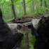 Hells Hollow and Hell Falls at McConnells Mill