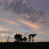 Sky Photos on the Drive Home