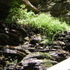 Anthony's Bachelor Hike