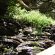 Anthony's Bachelor Hike