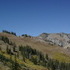 Sugarloaf Road Hike in Alta, Utah
