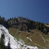 Sugarloaf Road Hike in Alta, Utah
