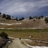 Sugarloaf Road Hike in Alta, Utah