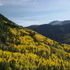 Sugarloaf Road Hike in Alta, Utah