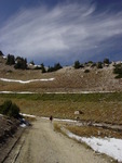 Sugarloaf Road Hike in Alta, Utah