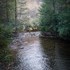 Hawk Falls Trail in Hickory Run State Park