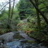 Redwood Trees at Muir Woods National Monument