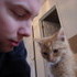 Our New Kitten