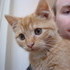 Our New Kitten