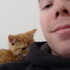 More Kitten Photos