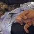 Cheshire and Chloe Pretending to be Friends