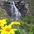 Summer Fun in Steamboat Springs, Colorado