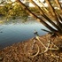 Mountain Bike Trails at the Green Lane Reservoir