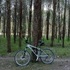 Mountain Bike Trails at the Green Lane Reservoir