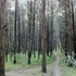 Mountain Bike Trails at the Green Lane Reservoir