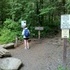 Trillium Gap Trail Hike to Grotto Falls in Tennessee