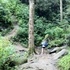 Trillium Gap Trail Hike to Grotto Falls in Tennessee