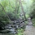 Trillium Gap Trail Hike to Grotto Falls in Tennessee