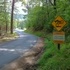 Cades Cove Loop Road in Tennessee