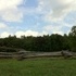 Cades Cove Loop Road in Tennessee